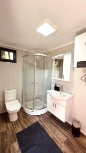 een badkamer met een douche, een toilet en een wastafel bij Luxe Tiny House bij het Leekstermeer in Matsloot