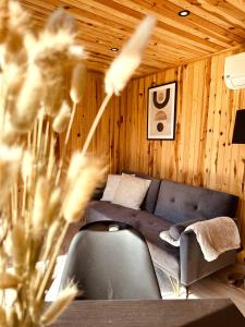 a living room with a blue couch and wooden walls at Luxe Tiny House bij het Leekstermeer in Matsloot