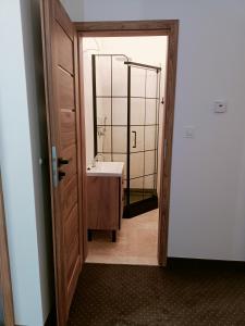 A bathroom at Apartamenty Polańczyk
