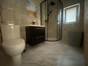 斯蒂格纳Domki Pod Sosnami的带马桶和淋浴的浴室