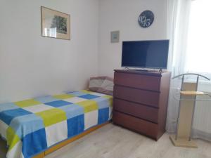 een slaapkamer met een bed en een flatscreen-tv bij Soukromé pokoje in Havlickuv Brod