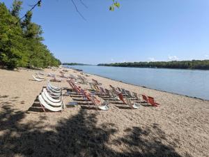 a group of chairs and umbrellas on a beach at Apartment next to the river in Budapest