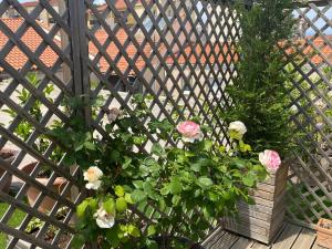 Сад в Le Patio Père Pigne Guestroom