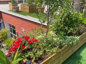Сад в Le Patio Père Pigne Guestroom