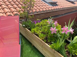 Сад в Le Patio Père Pigne Guestroom
