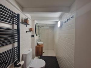uma casa de banho com um WC e um lavatório em Superbe appartement au bord de l'océan em Biarritz
