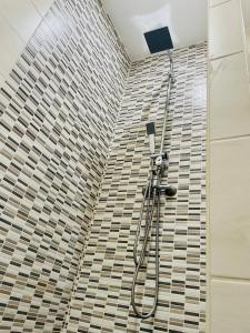 A bathroom at Attila Studio Apartments