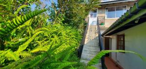 uma escada que leva a uma casa com plantas verdes em Acme Divine View em Nuwara Eliya