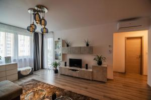 塞克什白堡的住宿－City Apartman Székesfehérvár，带沙发和电视的客厅