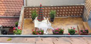 コルマールにあるFelicita Vintage Appartements - Colmar City Centerの植物と傘を備えたバルコニーの模型