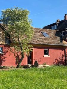 a red house with a tree in front of it at Scheune im Grünen in Staufen im Breisgau