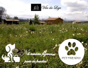 ein Bild eines Hundes auf einem Blumenfeld in der Unterkunft Vila da Laje - Onde a Natureza o envolve - Serra da Estrela in Oliveira do Hospital