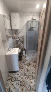 a bathroom with a sink and a shower at Domek na górce 2 in Krościenko