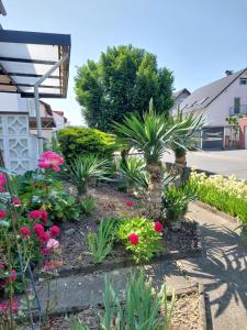 un jardín con plantas y flores en un patio en urige gemütliche Ferienwohnung 64 m2 in Dielheim, Nähe Heidelberg, en Dielheim