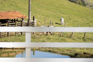 Naturlandschaft in der Nähe of country house