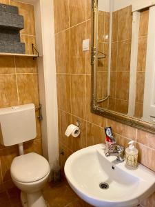 a bathroom with a white toilet and a sink at Kingslanding Old Town Hostel in Dubrovnik