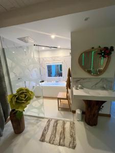 une salle de bains avec douche, lavabo et miroir dans l'établissement La Romantica, à Congéniès 54 autres photos