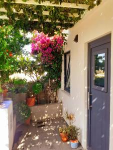 eine Veranda mit Topfpflanzen und einer blauen Tür in der Unterkunft ZENergy - GUEST HOUSE in Odeceixe
