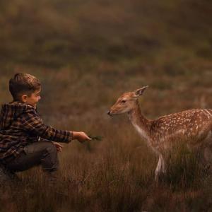 a young boy feeding a baby deer in a field at Cabañas Valle de los Ciervos in Tandil