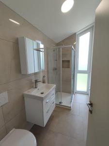 La salle de bains est pourvue de toilettes, d'un lavabo et d'une douche. dans l'établissement Gaja & Sara Apartments, à Kozina