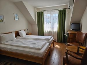 a bedroom with a bed and a chair and a television at Pension Aquaris in Sighişoara +125 photos