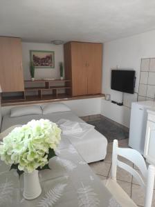 TV a/nebo společenská místnost v ubytování Studio Apartment Petrov