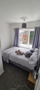 Schlafzimmer mit einem Bett mit lila Vorhängen und einem Fenster in der Unterkunft 3 Bed House NG8- Great for Leisure stays or Contractors in the area Close to M1 in Nottingham