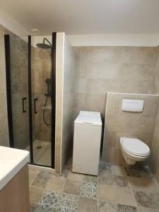 Appartement de 30m2 pour 2 personnes Venaco في فيناكو: حمام مع مرحاض ودش