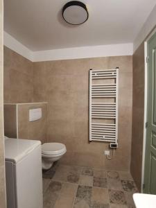 ein Bad mit einem WC, einem Waschbecken und einem Fenster in der Unterkunft Appartement de 30m2 pour 2 personnes Venaco in Venaco