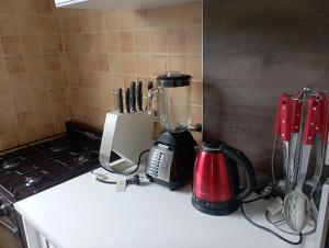a kitchen counter with a blender and appliances on it at San Cayetano in San Salvador de Jujuy