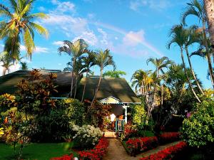 una casa con palmeras y un arco iris en el cielo en Las Palmas Eco Residence, en Las Terrenas