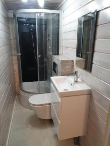 a bathroom with a toilet and a sink and a shower at Domki w lasku in Wiele +17 photos