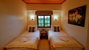 two twin beds in a room with a window at The Ark Lodge in Nyeri