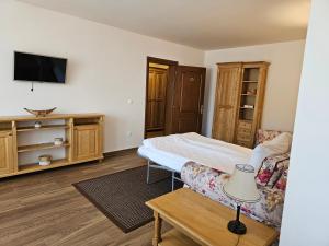 a bedroom with a bed and a couch and a tv at Pension Aquaris in Sighişoara