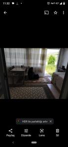 a picture of a room with a table and a cat laying on the floor at Avşa kiralık yazlık ev in Marmara