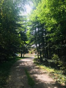 a dirt road with trees on either side at Chambre d’hôtes calme - Canal Nantes à Brest in Plessé