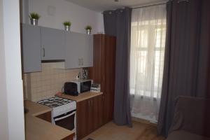 Een keuken of kitchenette bij Apartament Manufaktura 17