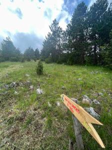 einer Holzbank, die mitten auf einem Feld sitzt in der Unterkunft Bungalovi Mijakovici in Pljevlja