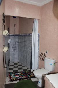 a bathroom with a shower and a toilet and a sink at Villa DALIA Route Ourika en Exclusivité in El Jemʼa Ghemat