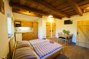 Kuchyň nebo kuchyňský kout v ubytování APARTMÁNY PAUSRAM