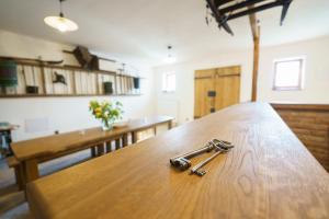 Gambar di galeri bagi APARTMÁNY PAUSRAM di Pouzdřany