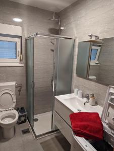 La salle de bains est pourvue d'une douche, de toilettes et d'un lavabo. dans l'établissement Villa Rosa, à Umag