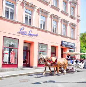 Fotografie z fotogalerie ubytování Karlsbad Family Apartment v destinaci Karlovy Vary