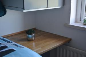 2 Barbour Court في ليسبرن: خزاف نبات يجلس على طاولة خشبية في غرفة