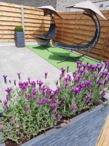 un jardin avec des fleurs violettes et une balançoire dans l'établissement Guesthouse 66, à Lommel