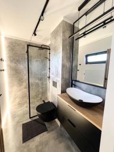 a bathroom with a sink and a toilet and a shower at Domki Grabina 