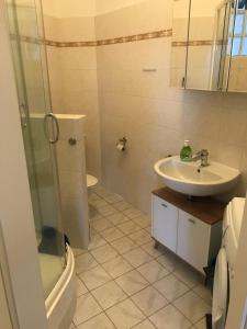 a bathroom with a sink and a toilet and a shower at Möbiliertes wohnen auf dem Sandberg in Flensburg