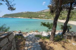 a path leading to a beach with a tree at Petra Mare Apartments in Alyki
