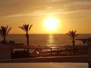 a sunset over the ocean with palm trees on a resort at King Evelthon Beach Hotel & Resort in Paphos