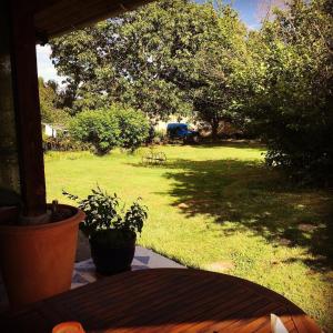 una vista de un patio con una mesa y un campo de césped en Domaine à Marmande, en Berdoues